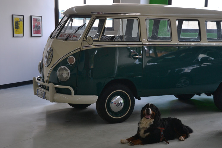 dealer showroom